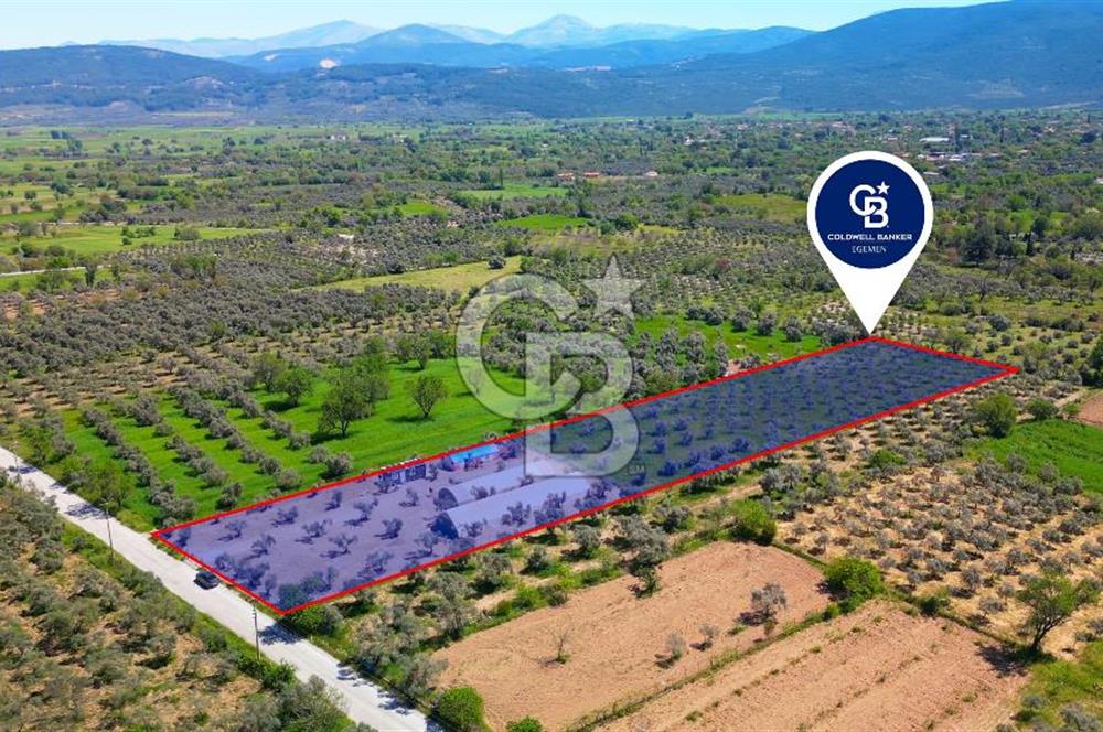 Muğla Menteşe Dağdibi Mahallesi’nde Hazır Kurulu Düzeniyle Satılık Tarla