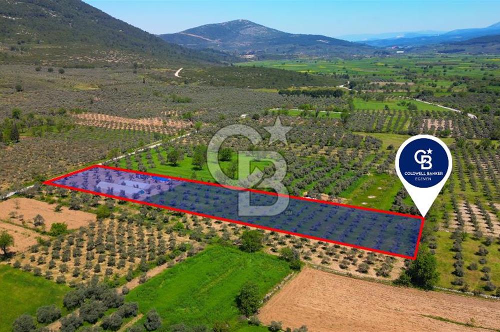 Muğla Menteşe Dağdibi Mahallesi’nde Hazır Kurulu Düzeniyle Satılık Tarla