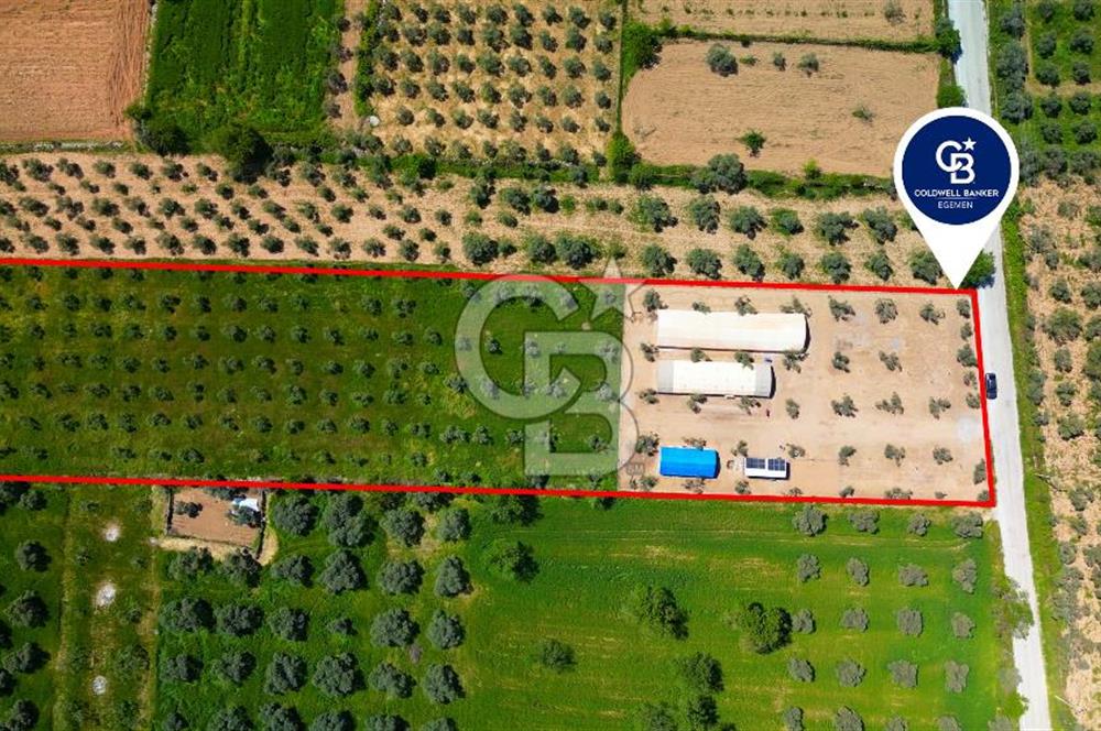 Muğla Menteşe Dağdibi Mahallesi’nde Hazır Kurulu Düzeniyle Satılık Tarla