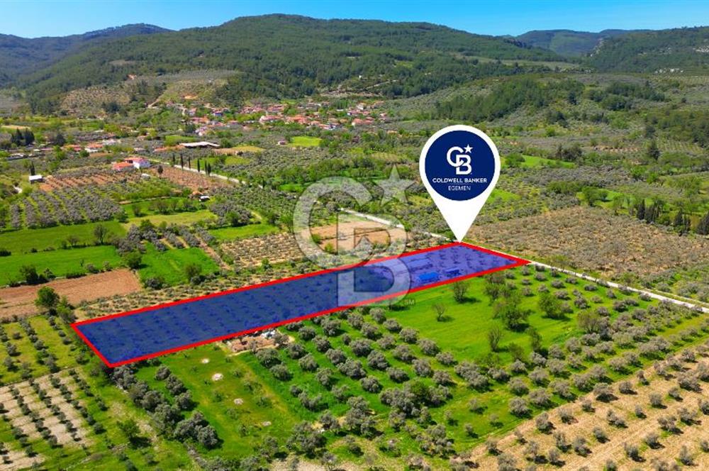 Muğla Menteşe Dağdibi Mahallesi’nde Hazır Kurulu Düzeniyle Satılık Tarla