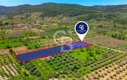 Muğla Menteşe Dağdibi Mahallesi’nde Hazır Kurulu Düzeniyle Satılık Tarla