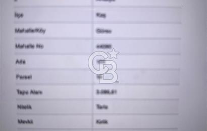 ANTALYA KAŞ GÜRSU'DA TEK TAPULU SATILIK TARLA