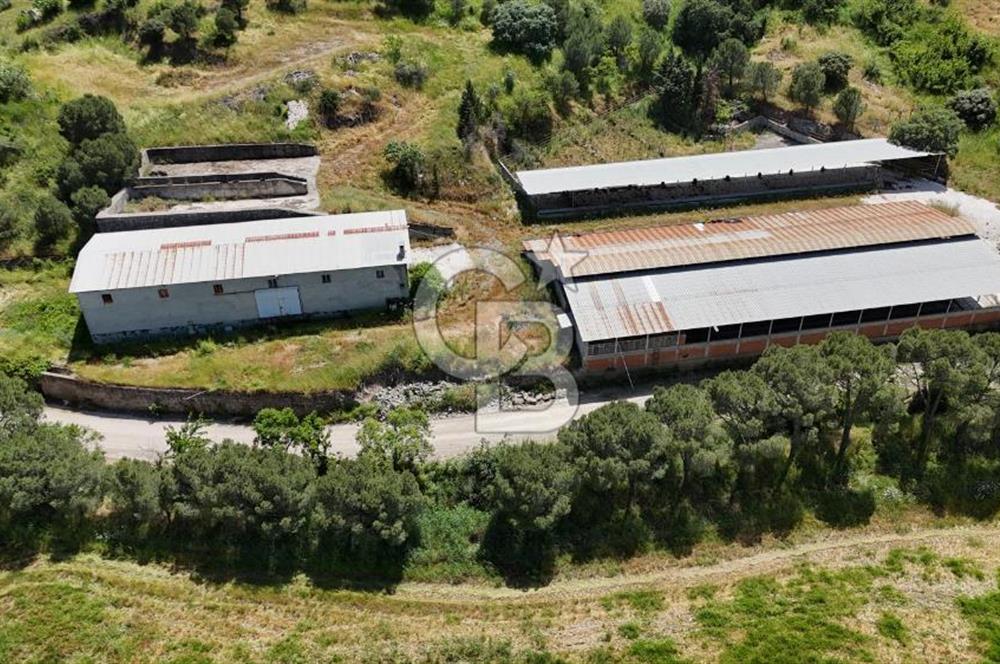 Büyük Ölçekli Yatırım Fırsatı / 507.092 m2 Tek Parsel Tarla