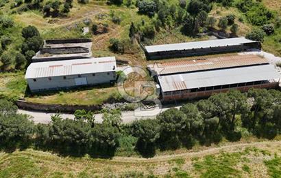 Büyük Ölçekli Yatırım Fırsatı / 507.092 m2 Tek Parsel Tarla
