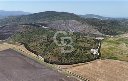 Büyük Ölçekli Yatırım Fırsatı / 507.092 m2 Tek Parsel Tarla