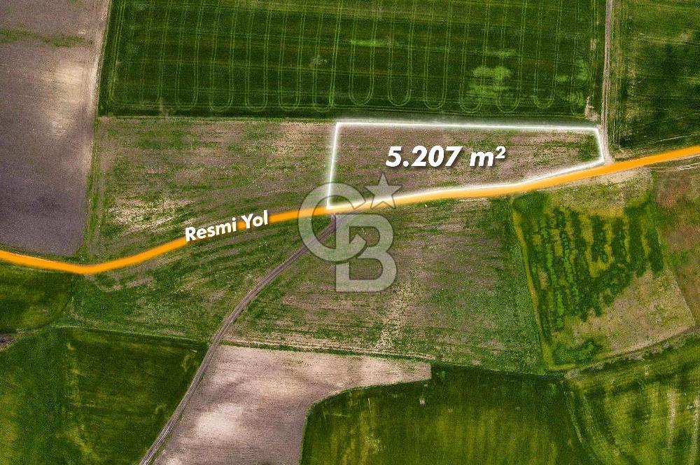 CB EAGLE'DAN SUSURLUK GÖBEL'DE SATILIK 5.207 m² TARLA