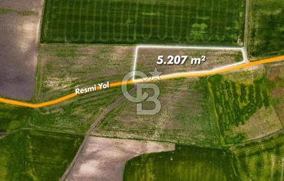 CB EAGLE'DAN SUSURLUK GÖBEL'DE SATILIK 5.207 m² TARLA