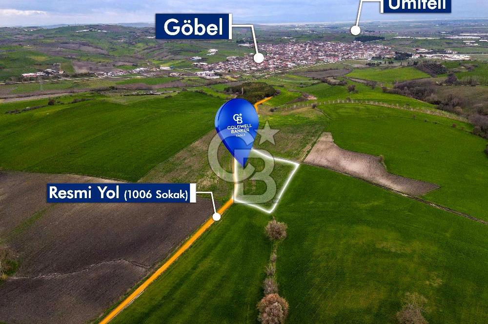 CB EAGLE'DAN SUSURLUK GÖBEL'DE SATILIK 3.875 m² TARLA