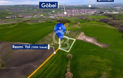CB EAGLE'DAN SUSURLUK GÖBEL'DE SATILIK 3.875 m² TARLA