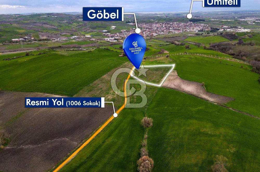 CB EAGLE'DAN SUSURLUK GÖBEL'DE SATILIK 8.125 m² TARLA