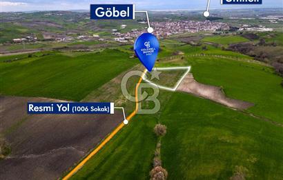 CB EAGLE'DAN SUSURLUK GÖBEL'DE SATILIK 8.125 m² TARLA
