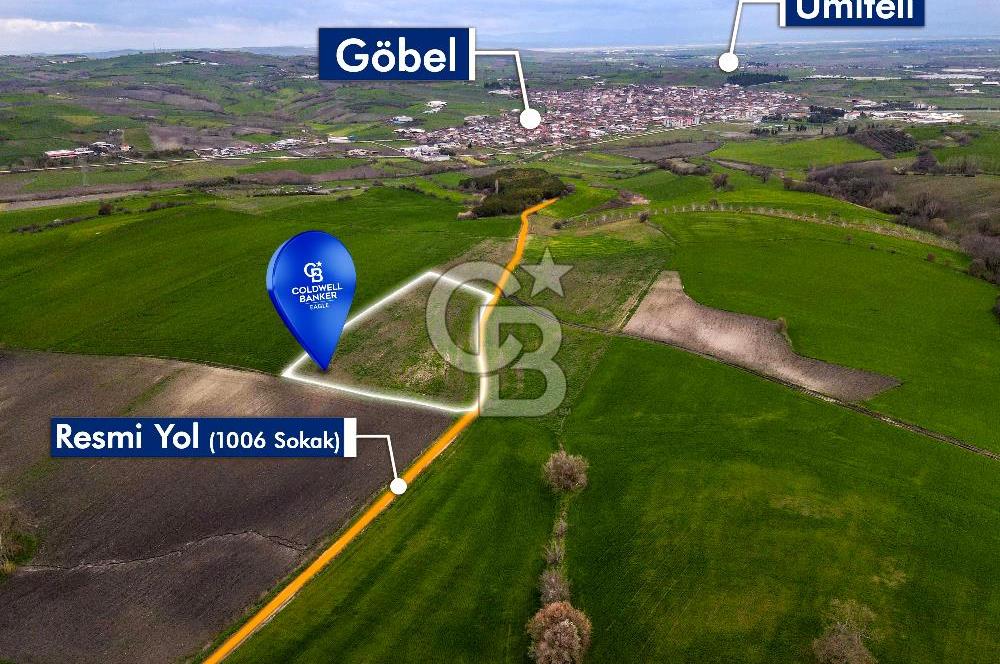CB EAGLE'DAN SUSURLUK GÖBEL'DE SATILIK 8000 m² TARLA