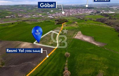CB EAGLE'DAN SUSURLUK GÖBEL'DE SATILIK 8000 m² TARLA
