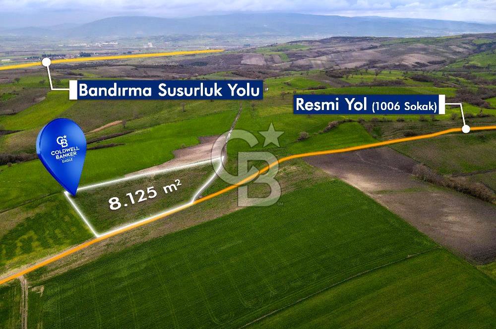 CB EAGLE'DAN SUSURLUK GÖBEL'DE SATILIK 8.125 m² TARLA