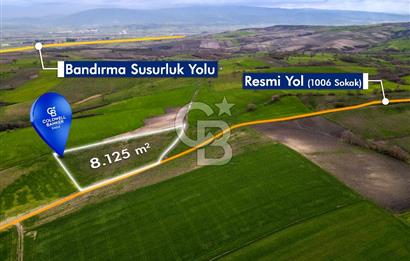 CB EAGLE'DAN SUSURLUK GÖBEL'DE SATILIK 8.125 m² TARLA
