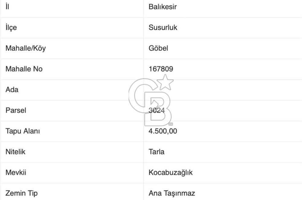 CB EAGLE'DAN SUSURLUK GÖBEL'DE SATILIK 4.500 m² TARLA