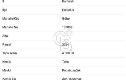 CB EAGLE'DAN SUSURLUK GÖBEL'DE SATILIK 4.500 m² TARLA