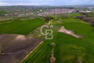 CB EAGLE'DAN SUSURLUK GÖBEL'DE SATILIK 8.125 m² TARLA - 2 - 349289