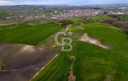 CB EAGLE'DAN SUSURLUK GÖBEL'DE SATILIK 8.125 m² TARLA
