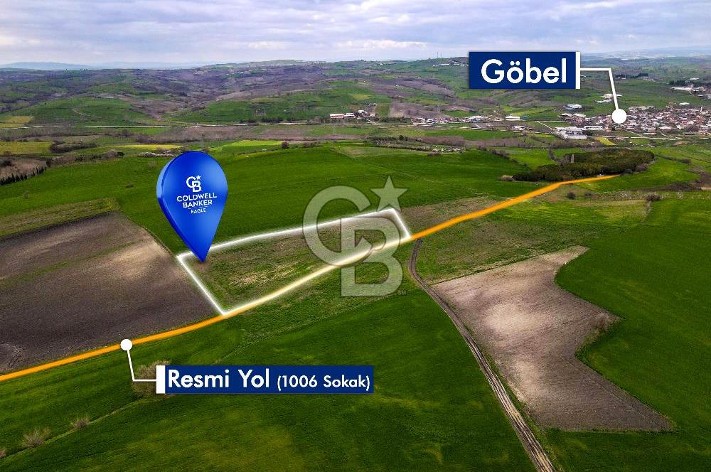 CB EAGLE'DAN SUSURLUK GÖBEL'DE SATILIK 8000 m² TARLA