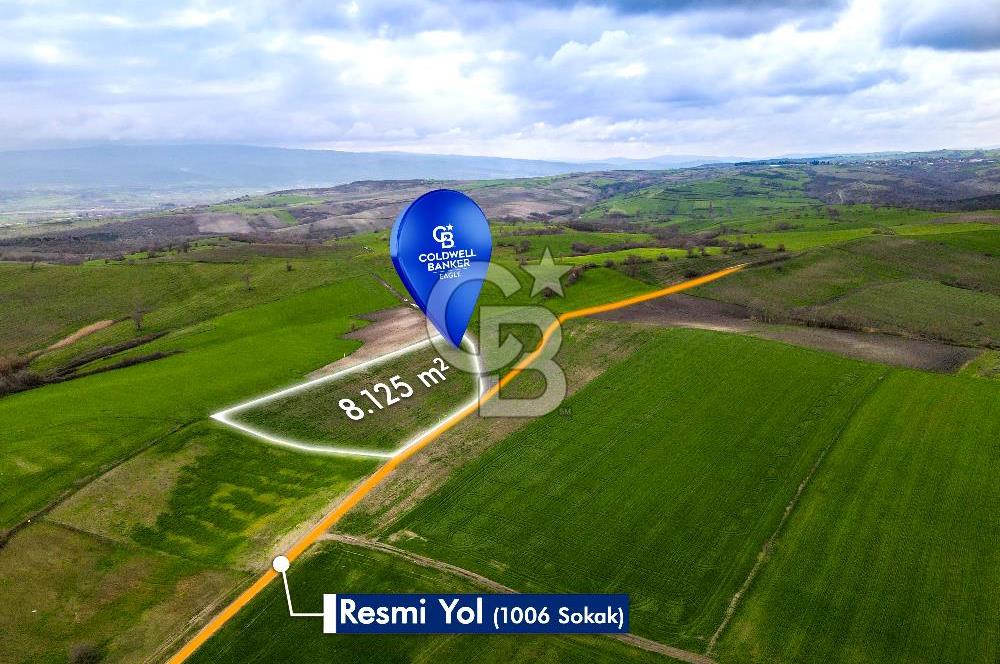 CB EAGLE'DAN SUSURLUK GÖBEL'DE SATILIK 8.125 m² TARLA