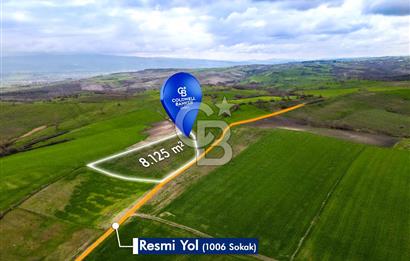 CB EAGLE'DAN SUSURLUK GÖBEL'DE SATILIK 8.125 m² TARLA