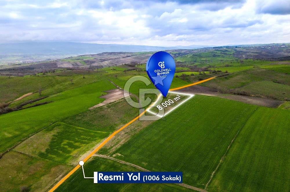 CB EAGLE'DAN SUSURLUK GÖBEL'DE SATILIK 8000 m² TARLA