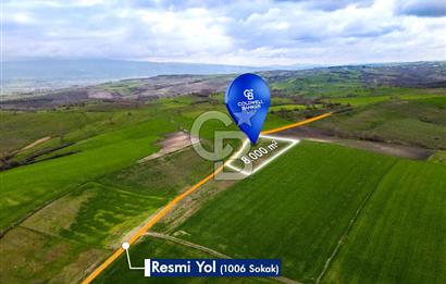 CB EAGLE'DAN SUSURLUK GÖBEL'DE SATILIK 8000 m² TARLA