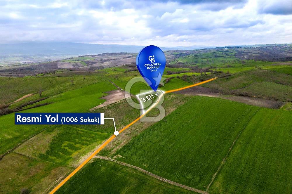CB EAGLE'DAN SUSURLUK GÖBEL'DE SATILIK 3.875 m² TARLA