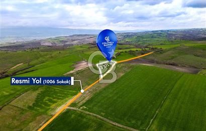CB EAGLE'DAN SUSURLUK GÖBEL'DE SATILIK 3.875 m² TARLA
