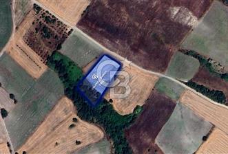CB EAGLE'DAN SUSURLUK GÖBEL'DE SATILIK 4.500 m² TARLA - 1 - 349296