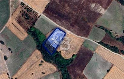 CB EAGLE'DAN SUSURLUK GÖBEL'DE SATILIK 4.500 m² TARLA