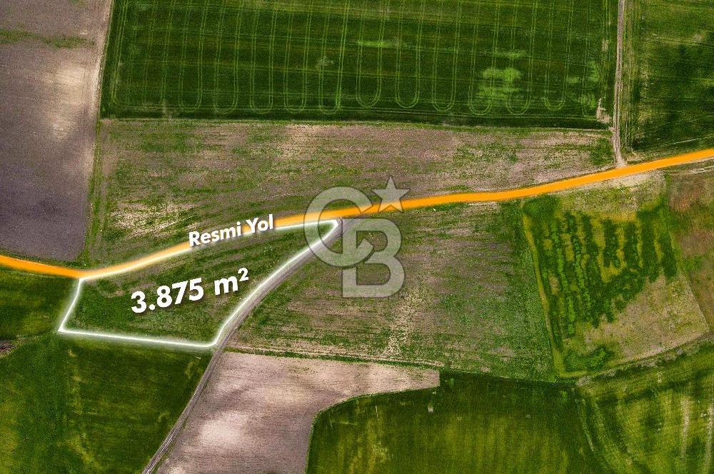 CB EAGLE'DAN SUSURLUK GÖBEL'DE SATILIK 3.875 m² TARLA