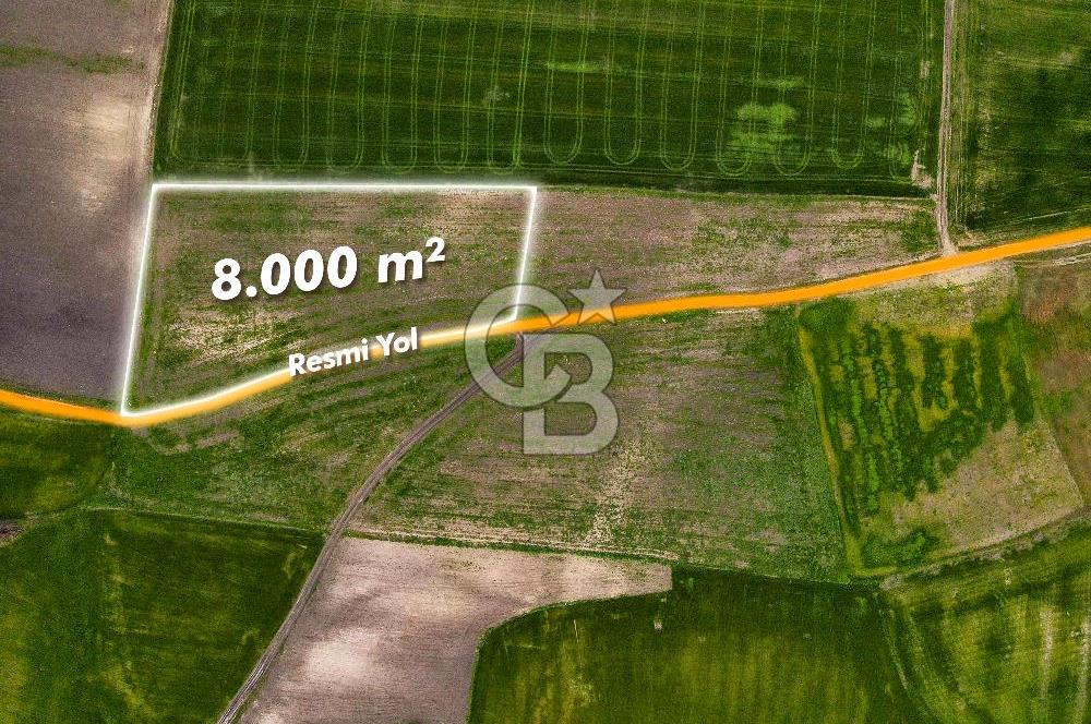 CB EAGLE'DAN SUSURLUK GÖBEL'DE SATILIK 8000 m² TARLA