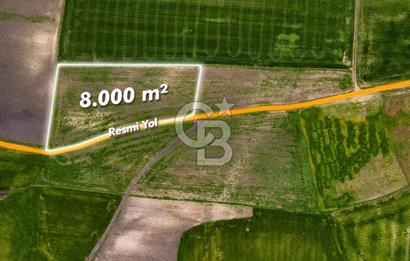 CB EAGLE'DAN SUSURLUK GÖBEL'DE SATILIK 8000 m² TARLA