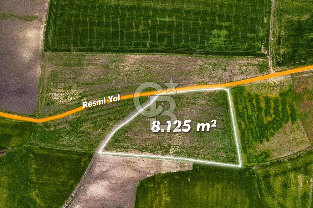 CB EAGLE'DAN SUSURLUK GÖBEL'DE SATILIK 8.125 m² TARLA