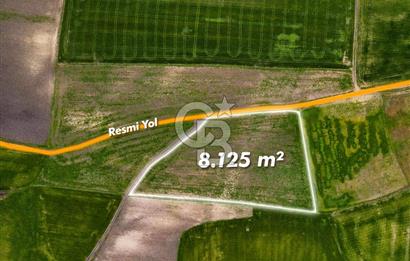 CB EAGLE'DAN SUSURLUK GÖBEL'DE SATILIK 8.125 m² TARLA