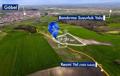 CB EAGLE'DAN SUSURLUK GÖBEL'DE SATILIK 8.125 m² TARLA