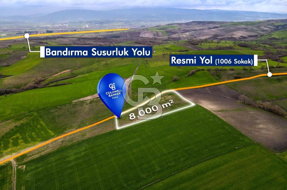 CB EAGLE'DAN SUSURLUK GÖBEL'DE SATILIK 8000 m² TARLA