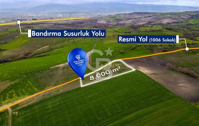 CB EAGLE'DAN SUSURLUK GÖBEL'DE SATILIK 8000 m² TARLA