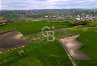 CB EAGLE'DAN SUSURLUK GÖBEL'DE SATILIK 3.875 m² TARLA - 3 - 349288