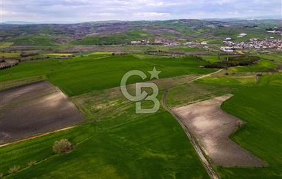 CB EAGLE'DAN SUSURLUK GÖBEL'DE SATILIK 3.875 m² TARLA