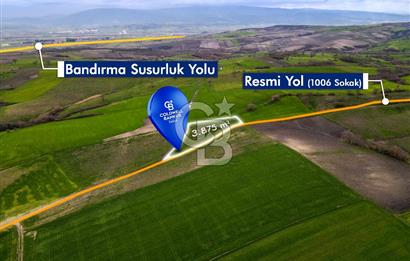 CB EAGLE'DAN SUSURLUK GÖBEL'DE SATILIK 3.875 m² TARLA