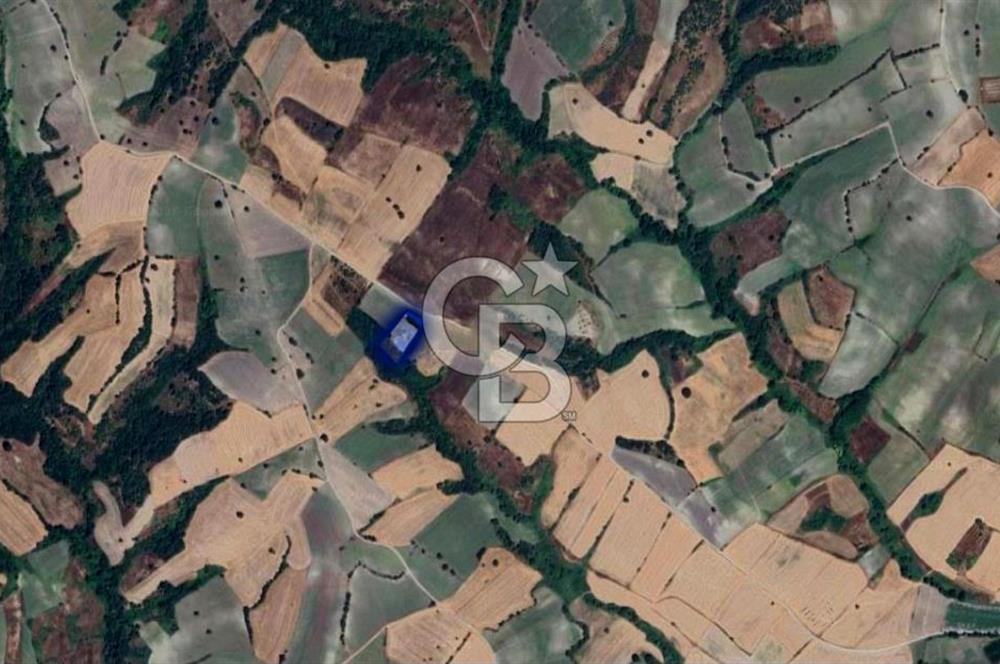 CB EAGLE'DAN SUSURLUK GÖBEL'DE SATILIK 4.500 m² TARLA