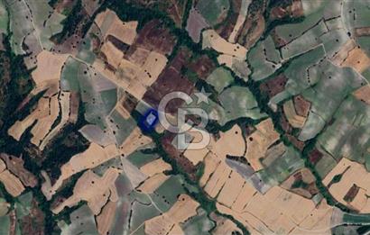 CB EAGLE'DAN SUSURLUK GÖBEL'DE SATILIK 4.500 m² TARLA