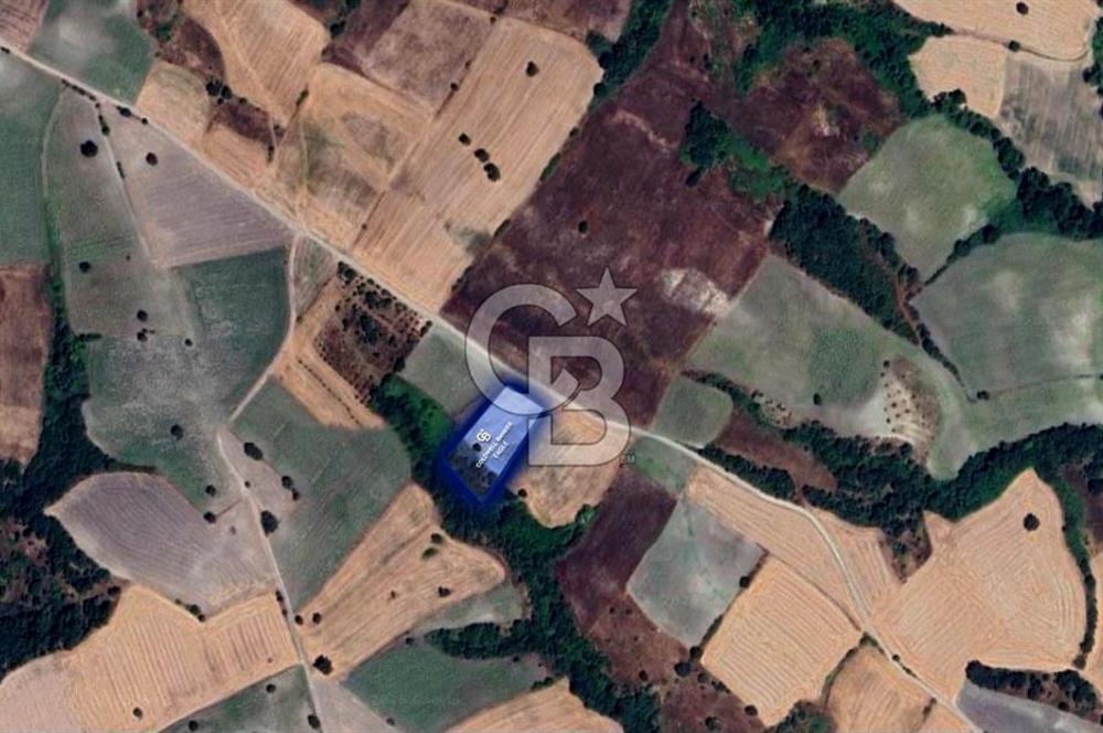 CB EAGLE'DAN SUSURLUK GÖBEL'DE SATILIK 4.500 m² TARLA