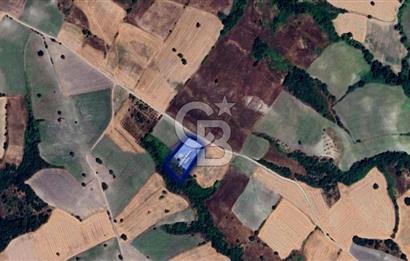CB EAGLE'DAN SUSURLUK GÖBEL'DE SATILIK 4.500 m² TARLA