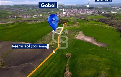 CB EAGLE'DAN SUSURLUK GÖBEL'DE SATILIK 5.207 m² TARLA
