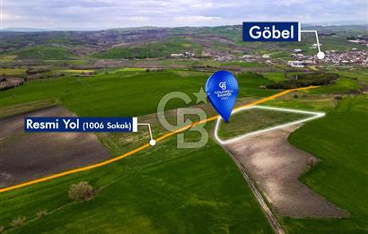 CB EAGLE'DAN SUSURLUK GÖBEL'DE SATILIK 8.125 m² TARLA