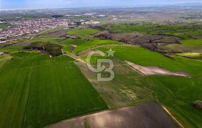 CB EAGLE'DAN SUSURLUK GÖBEL'DE SATILIK 8000 m² TARLA